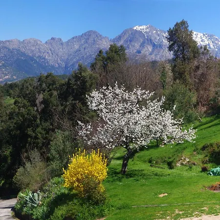 95m2 Au Calme A 25mn Ajaccio, Plages, Linge Inclus Parking Ok Apartment Ucciani
