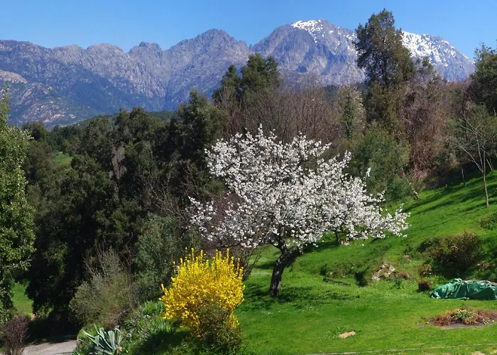 95m2 Au Calme A 25mn Ajaccio, Plages, Linge Inclus Parking Ok Apartman Ucciani