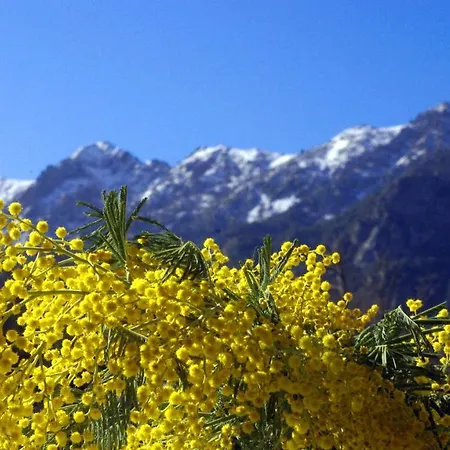 95m2 Au Calme A 25mn Ajaccio, Plages, Linge Inclus Parking Ok Ucciani