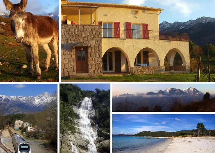 95m2 Au Calme à 25mn Ajaccio, Plages, Linge Inclus Parking Ok Ucciani