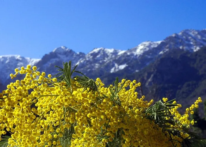 95m2 Au Calme A 25mn Ajaccio, Plages, Linge Inclus Parking Ok Ucciani