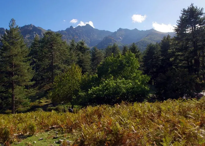 95m2 Au Calme à 25mn Ajaccio, Plages, Linge Inclus Parking Ok Ucciani